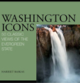 Washington Icons