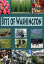 Bite of Washington