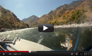 Hells Canyon Jet Boat Tour Video