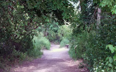 One Mile Loop at Enchantment Park