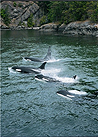 Orcas Island Eclipse Charters