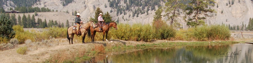 Cowboys on horses at creek