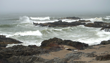 Yachats State Park photo by Go Northwest!